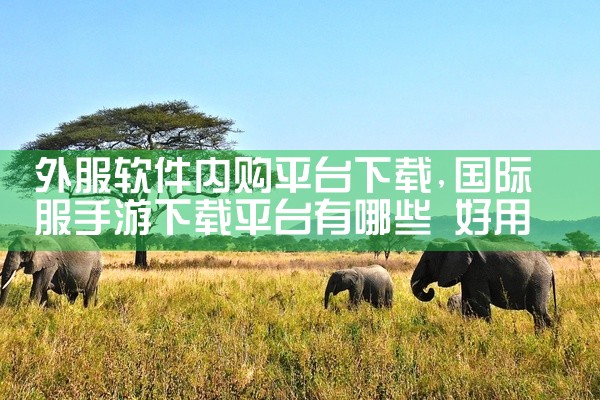 外服软件内购平台下载