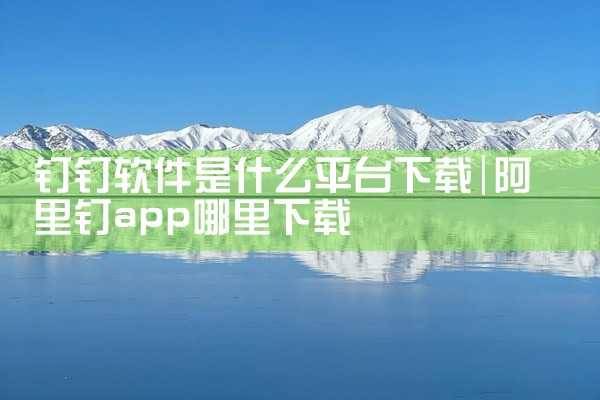 钉钉软件是什么平台下载