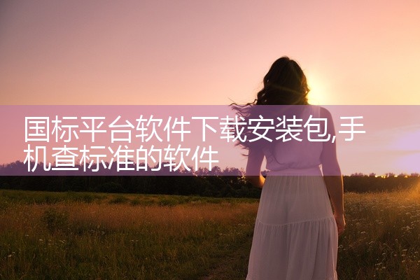 国标平台软件下载安装包