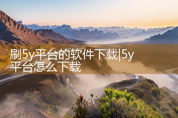 刷5y平台的软件下载