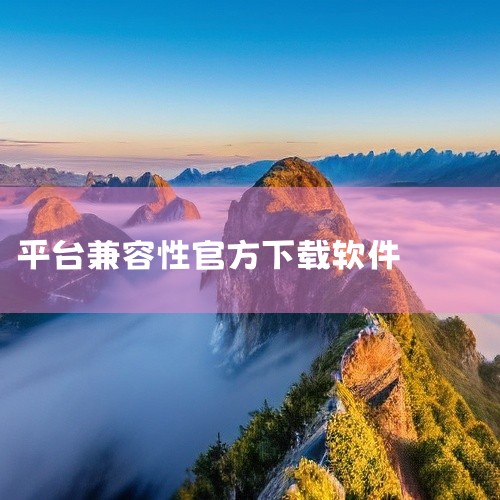 下载工具IDM（Internet Download Manager）：具备多线程加速功能，支持HTTP/HTTPS协议，适合大文件下载，但需要付费。FDM（Free Download Manager）,